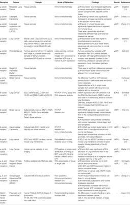 Opioid Receptor-Mediated and Non-Opioid Receptor-Mediated Roles of Opioids in Tumour Growth and Metastasis